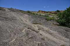 291: DSC_7718