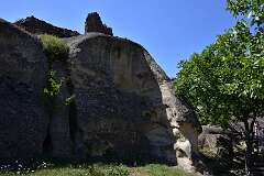 294: DSC_7721