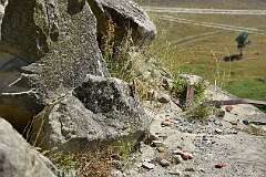 308: DSC_7736