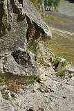 309: DSC_7737