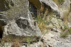 310: DSC_7738