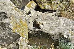 311: DSC_7739
