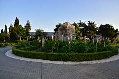 321: DSC_7752