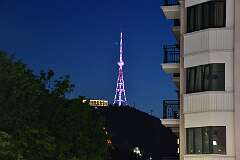 334: DSC_7771
