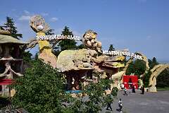 373: DSC_7823