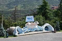374: DSC_7825