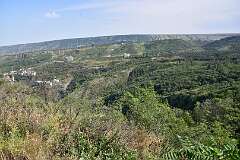 385: DSC_7841