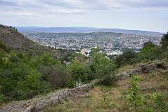 391: DSC_7848
