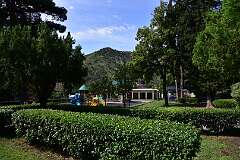 412: DSC_7871
