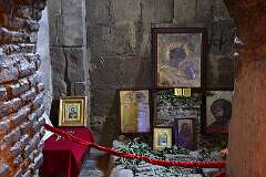 441: DSC_7903