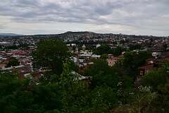 459: DSC_7923