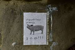 490: DSC_7959