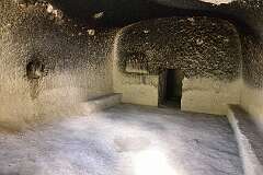 527: DSC_8003