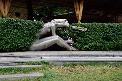 542: DSC_8022