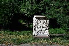 581: DSC_8069