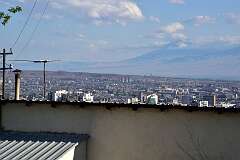 590: DSC_8081