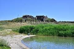 654: DSC_8161