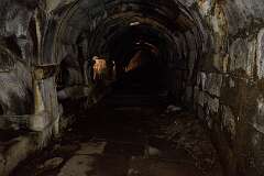 678: DSC_8187