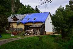 19: DSC_8433