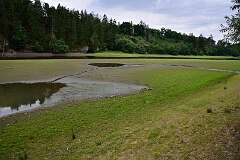 43: DSC_8461