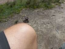 60: 20230824_135906