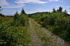 31: DSC_8510