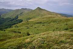41: DSC_8524