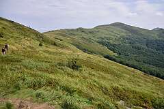 42: DSC_8525