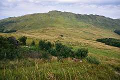 44: DSC_8527