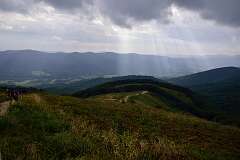 50: DSC_8533