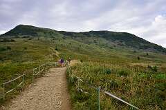 52: DSC_8535
