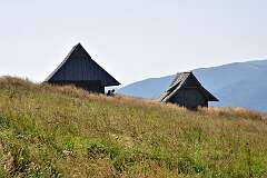 107: DSC_8545