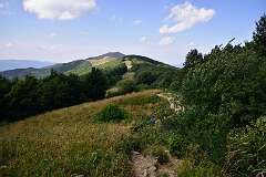 122: DSC_8566