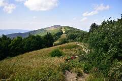 123: DSC_8567
