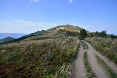 125: DSC_8569