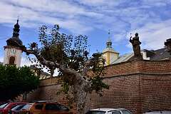 16: DSC_8597