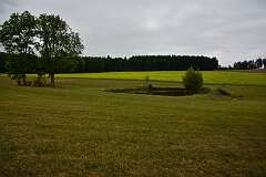 40: DSC_8631