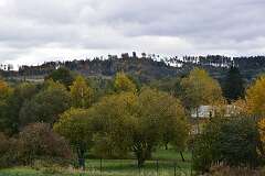 6: DSC_8648