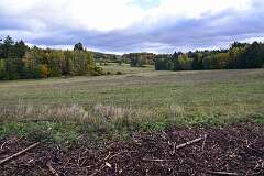 10: DSC_8652