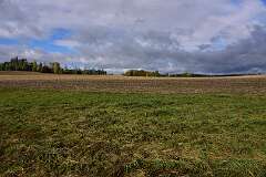 11: DSC_8653