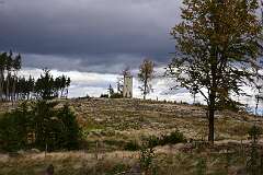 23: DSC_8667