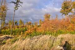 44: DSC_8689