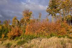 45: DSC_8690