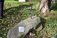 61: DSC_8708