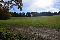 71: DSC_8718