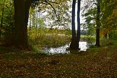 72: DSC_8720