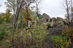 91: DSC_8741