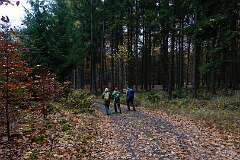 12: RX106229