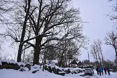 17: DSC_8798