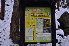72: DSC_8861